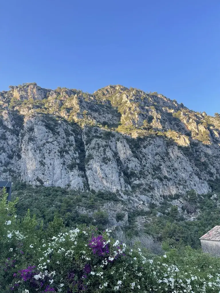 luna_Da mitchou campagne_Gorbio_review