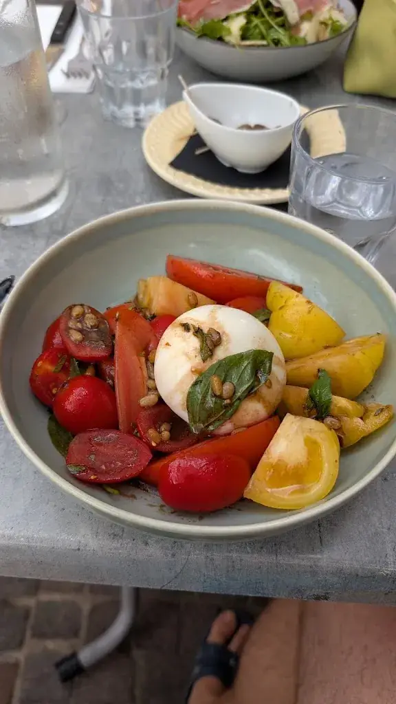 Borislav Mihaylov_La Grotte & l'Olivier_Roquebrune-Cap-Martin_recensione