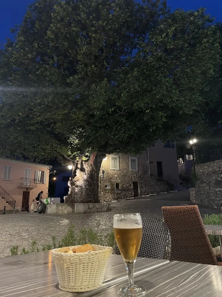 N Voorberg_Raygus_Gorbio_review