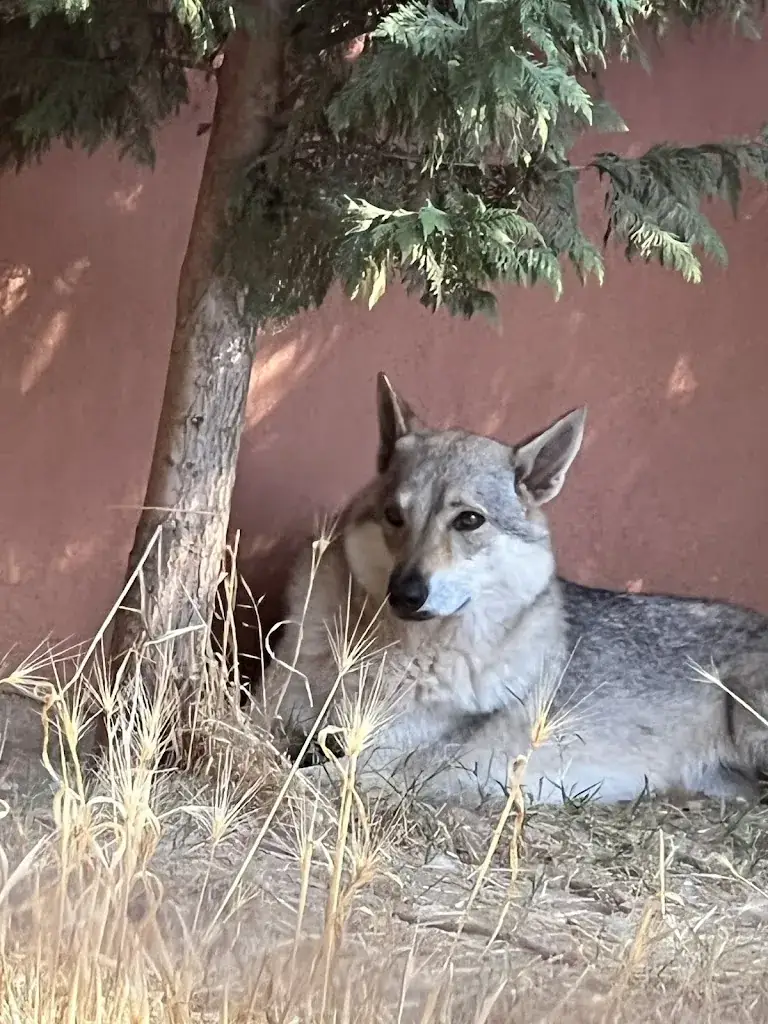 Céline N._Hôtel le Bastier | Hôtel, Restaurant | Ginasservis à proximité des Gorges du Verdon_Ginasservis_recensione