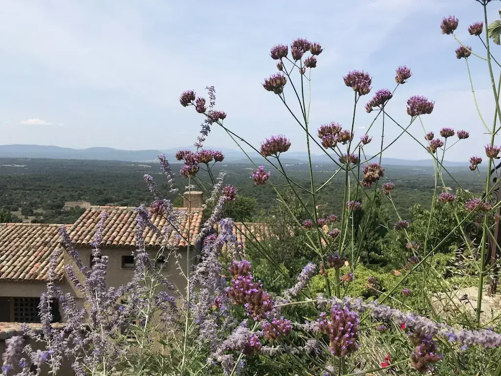 Edward_Auberge du Montagnier_Saint-Julien_review