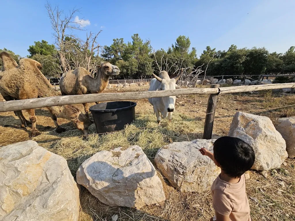 Roland SELLIER_🐺🦚 Parc Animalier de Ginasservis  🐪🦜 I Var_Ginasservis_recensione