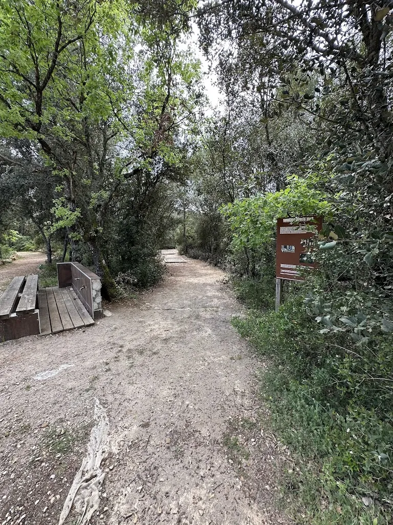 Bndt Laura_🐺🦚 Parc Animalier de Ginasservis  🐪🦜 I Var_Ginasservis_recensione