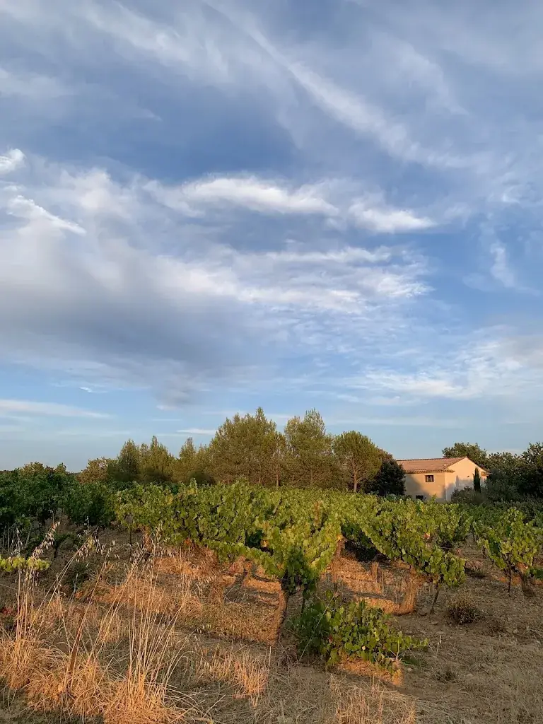 Cam D_Le Diamant Noir_Tour-d'Aigues_recensione