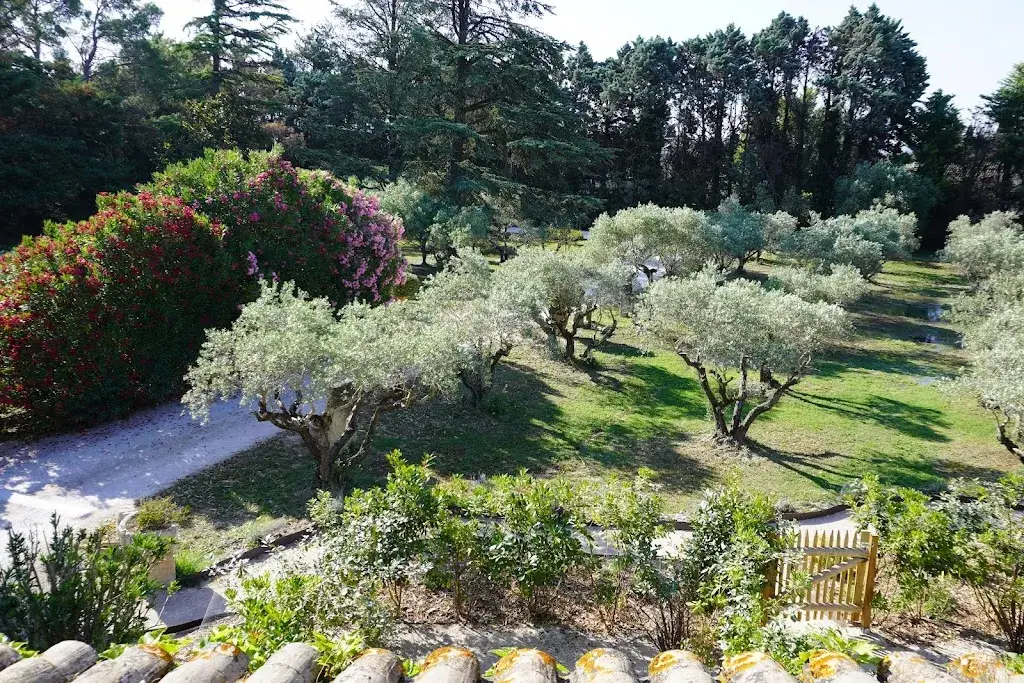 Mergim Ozdamar_Le Moulin d'Aure_Graveson_review