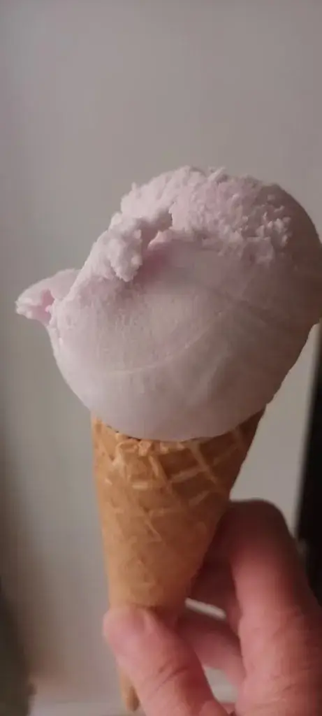 Menu_VIOLETTE - Glacier Artisan Fabricant_Gréoux-les-Bains_image_6