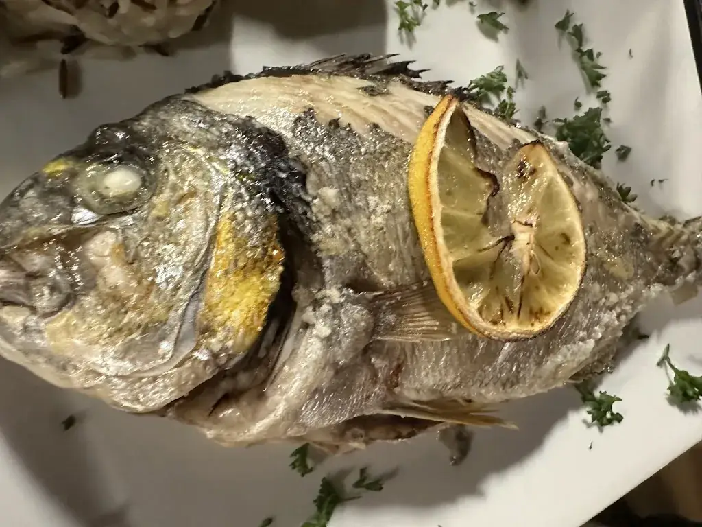 Charlie Howes_L'Hippocampe Estaque_Marseille_recensione