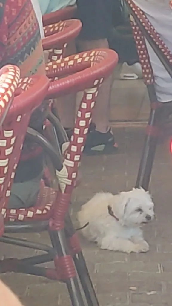 Ron Lee_Brasserie de La Place_Nyons_recensione