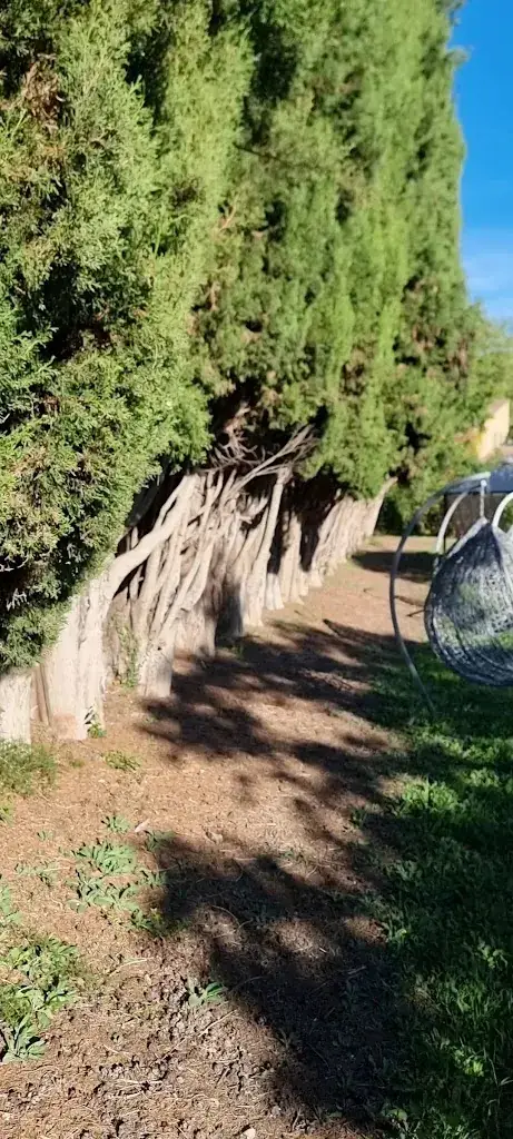 Saskia Friso_Restaurant abbaye de la celle_Celle_review