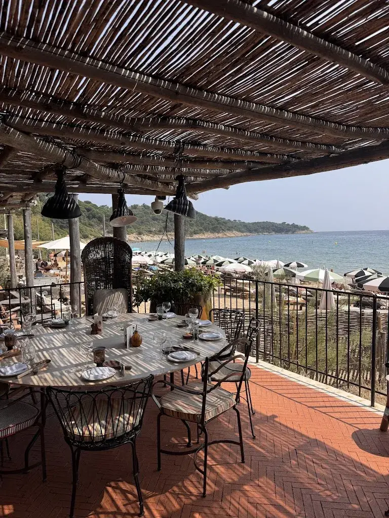 Ellen J. Snyder_La Brigantine_Croix-Valmer_review