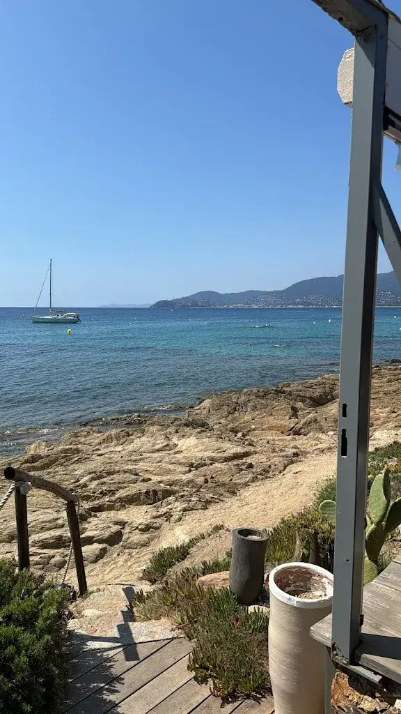 michael peterek_Couleurs Jardin_Croix-Valmer_recensione