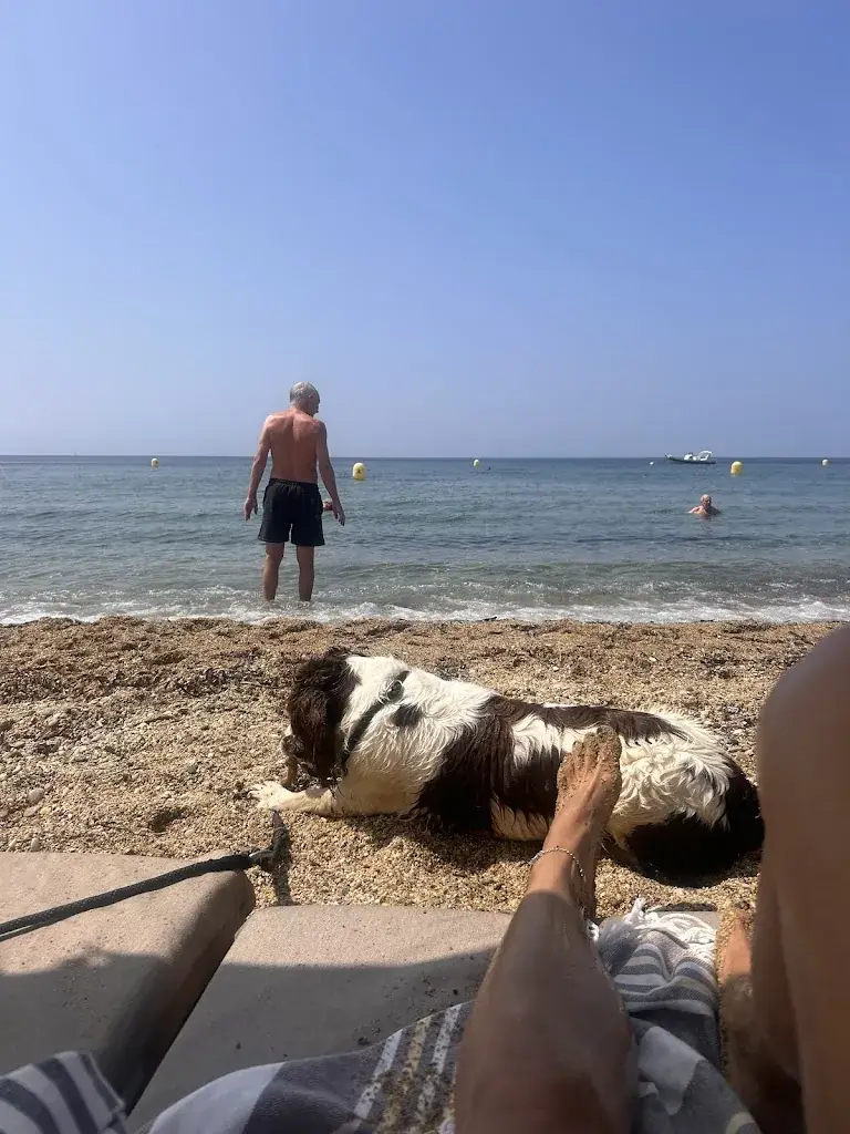 Jacqueline Ditcham_La Cabane Méditerranée_Croix-Valmer_review