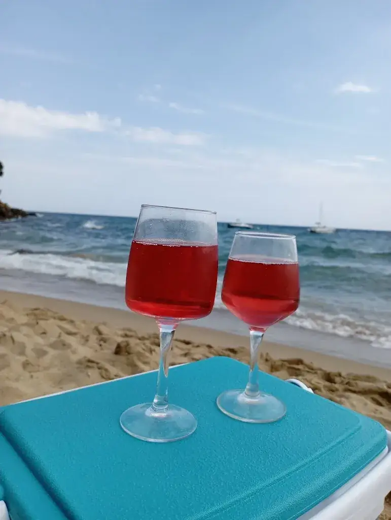 Menu_Le Filao Plage_Croix-Valmer_image_7