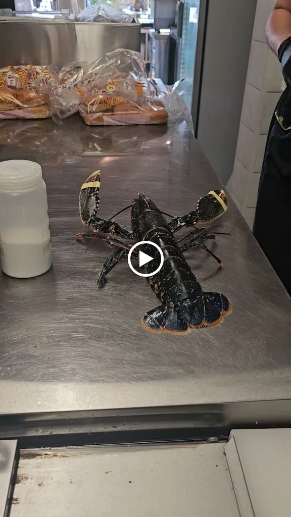 Up Up Burger_Croix-Valmer_slider_image_2