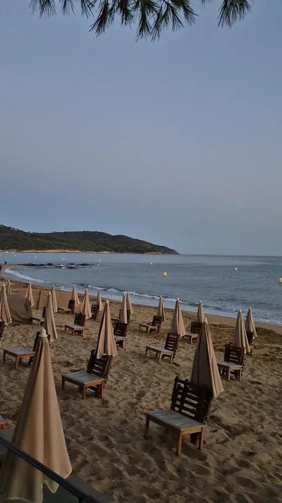 La Pinede Plage_Croix-Valmer_slider_image_2