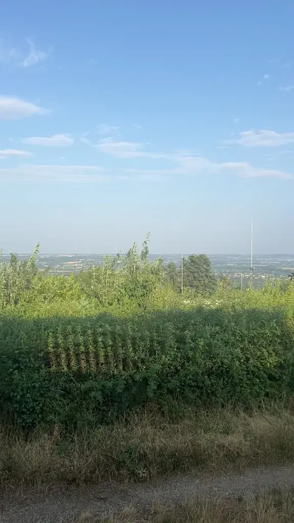 Pauline D._Les Terrasses de Pommiers_Pommiers_review