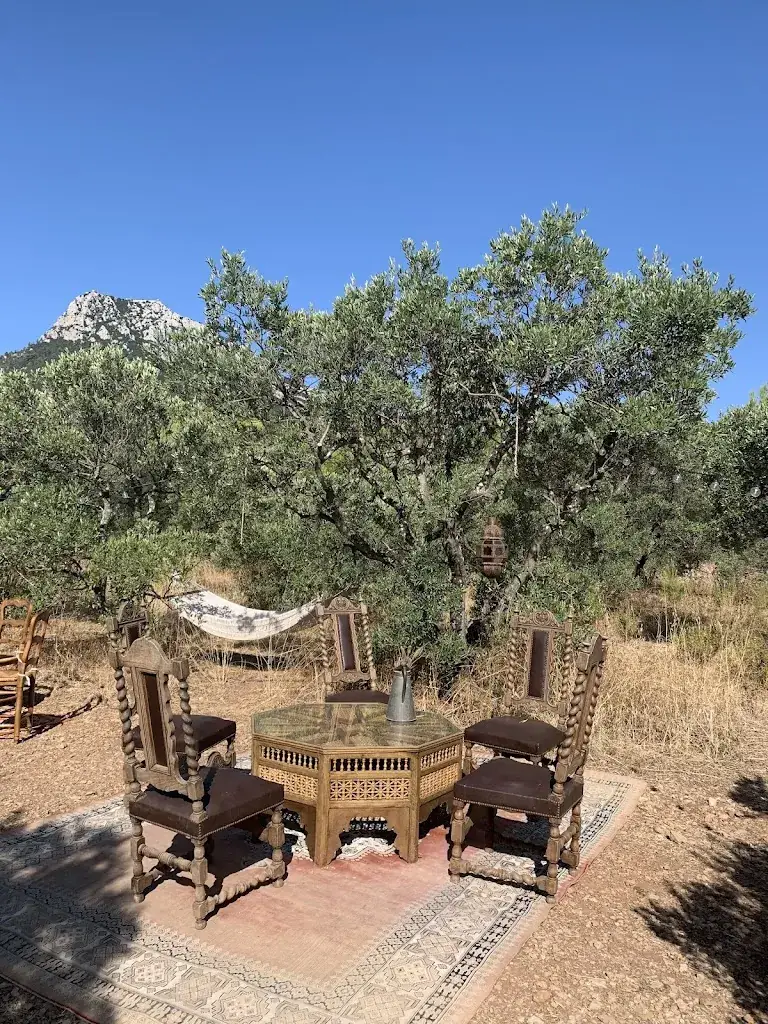 Ash O’Callaghan Drummond_Les tables de la pierre blanche_Farlède_review