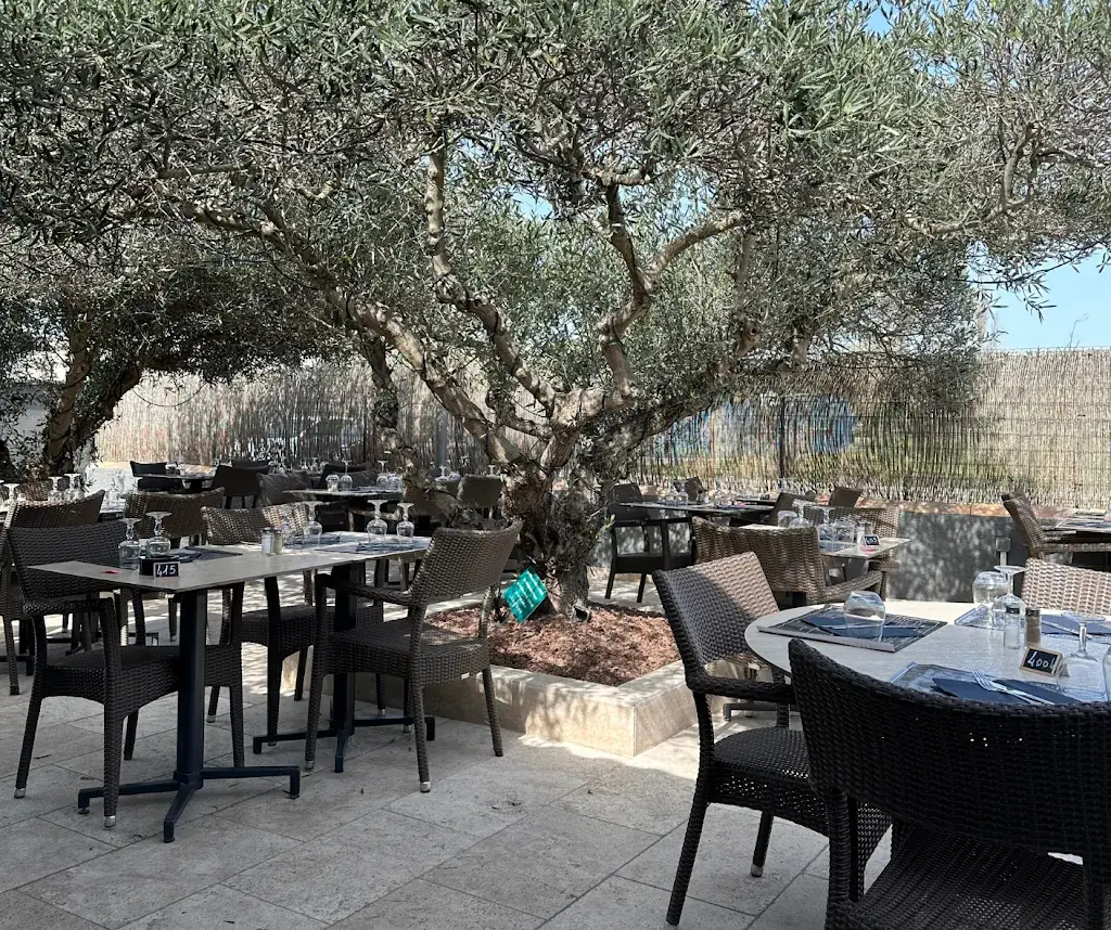 Le Clos des Oliviers, au Baïsses_Lançon-Provence_slider_image_1