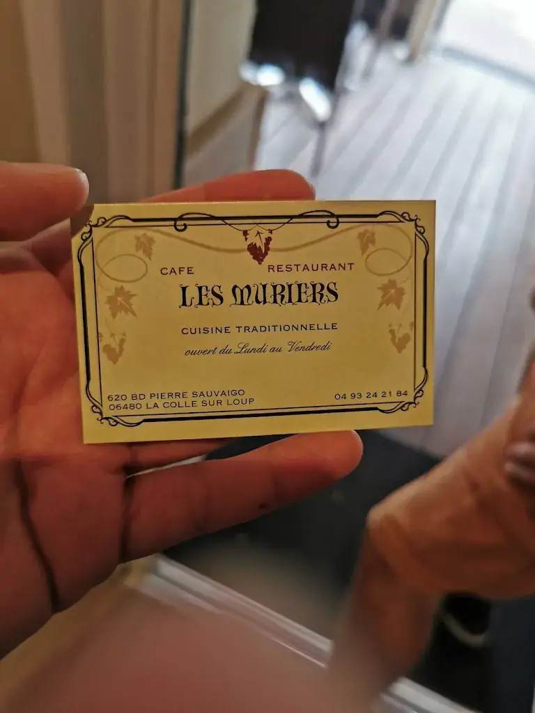 Anthony LECOQ_Les Muriers_Colle-sur-Loup_review