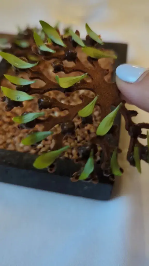 Jen Y._L'Ambroisy - Restaurant Vence_Vence_reseña