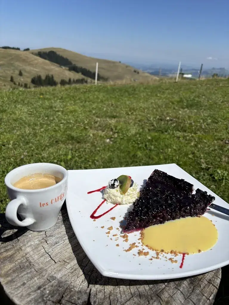 Florence Morand_Chalet de La Berra_Roche_review