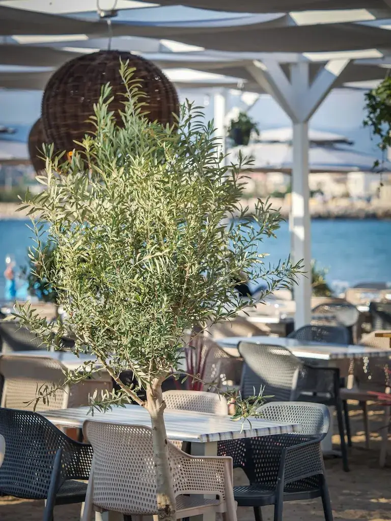 ROUGE et ROCHE - Restaurant Traditionnel Marseille Restaurant in Marseille