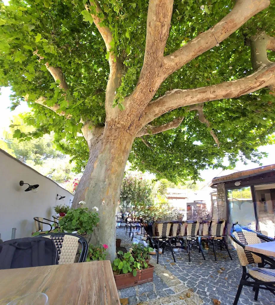 Alain Rimeymeille_Restaurant De La Gare_Penne-sur-Huveaune_review