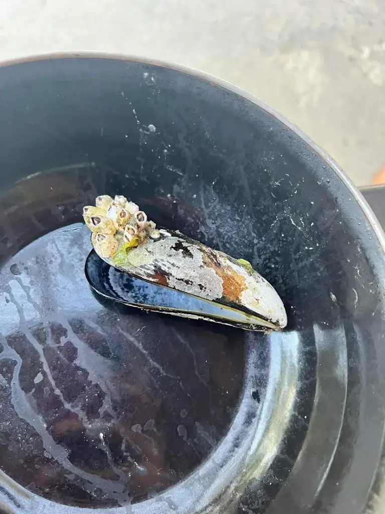 Menu_LE RESTO DES ISCLES_Roque-d'Anthéron_image_4