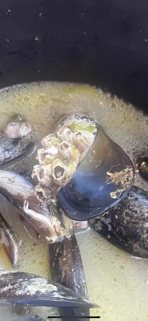 Menu_LE RESTO DES ISCLES_Roque-d'Anthéron_image_5