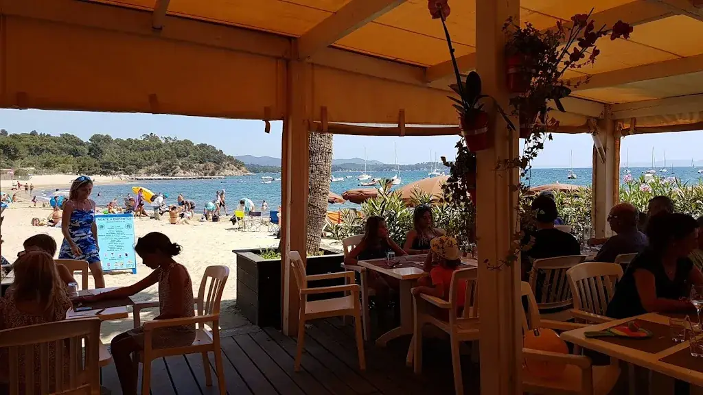 Norbert ten Hoopen_Côté Plage_Londe-les-Maures_review