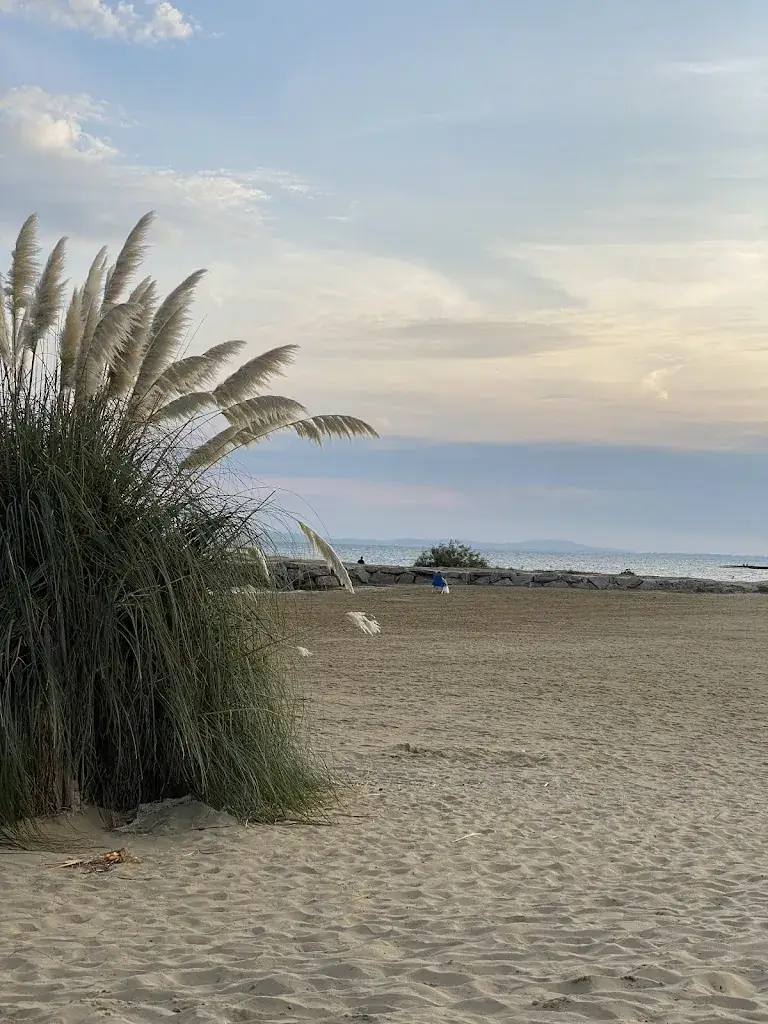 WTFlow_Le Président_Londe-les-Maures_review