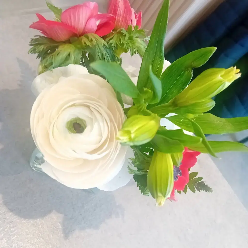 Véronique fonfon_L'Imprévu_Londe-les-Maures_review