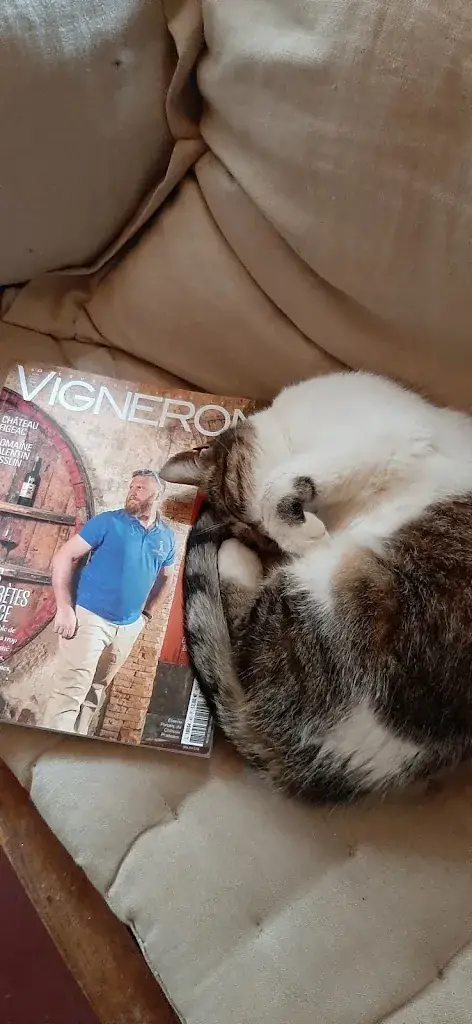 Catichou_Domaine Les Terres Promises_Roquebrussanne_review