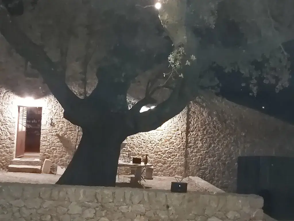 Agnès Darche_Domaine Les Terres Promises_Roquebrussanne_review