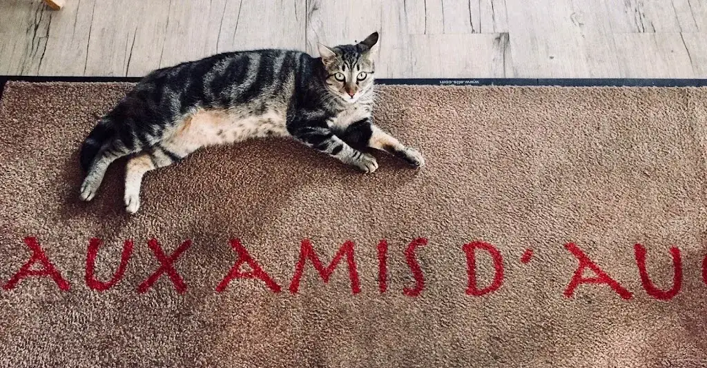 Aux Amis d'Auguste_Turbie_slider_image_3