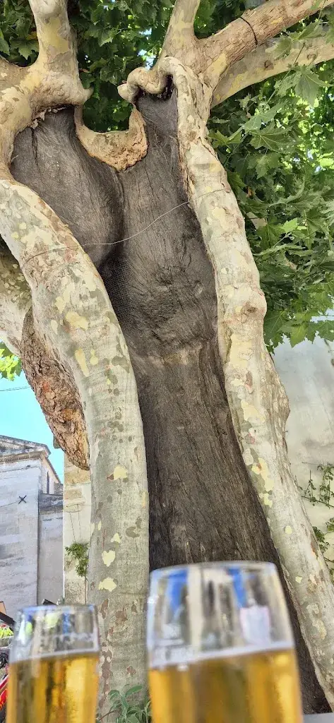 Fred M_Le Café de la Fontaine_Lagnes_recensione