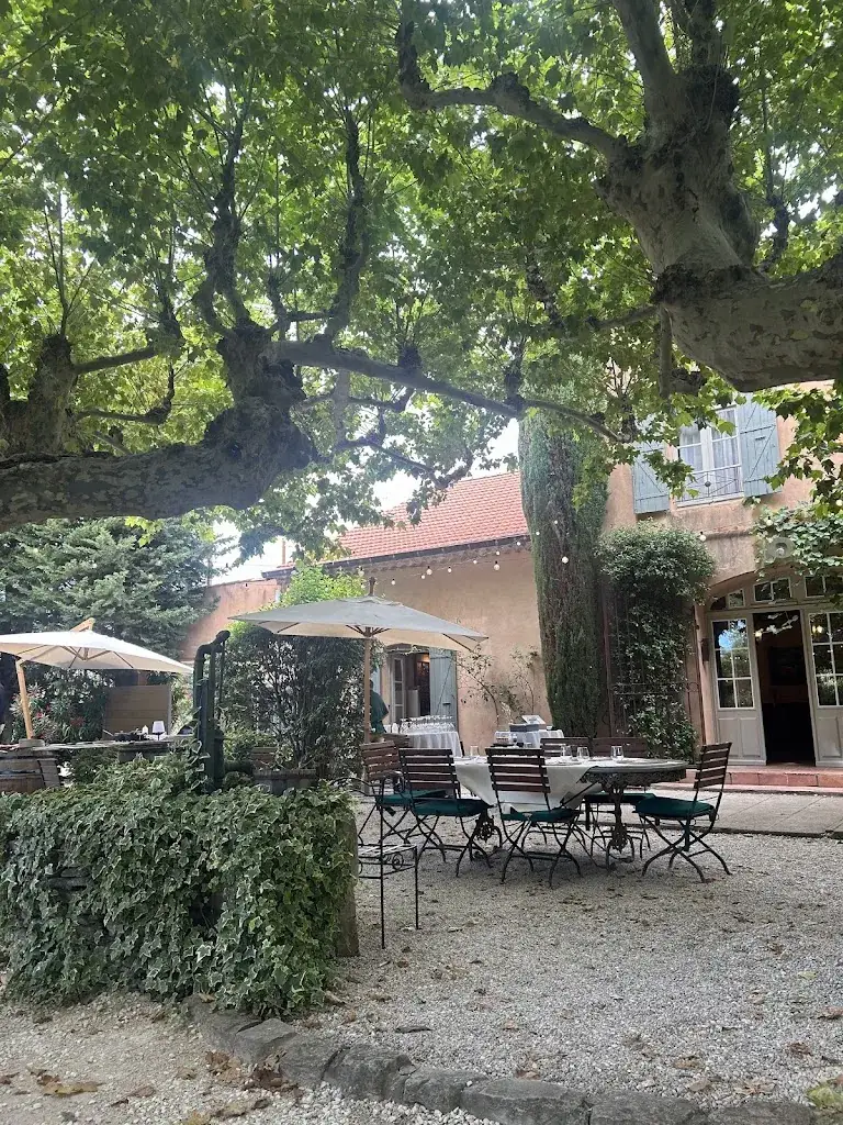 Laura_Restaurant Sous les Platanes à Lagnes_Lagnes_review