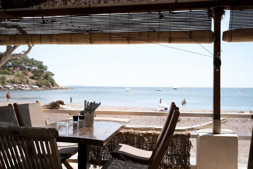 Marc Bartsch_La Paillote Fabregas_Seyne-sur-Mer_review