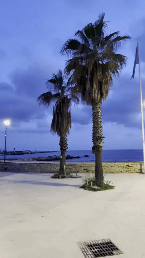 Juha Leppänen_Annananta_Seyne-sur-Mer_review