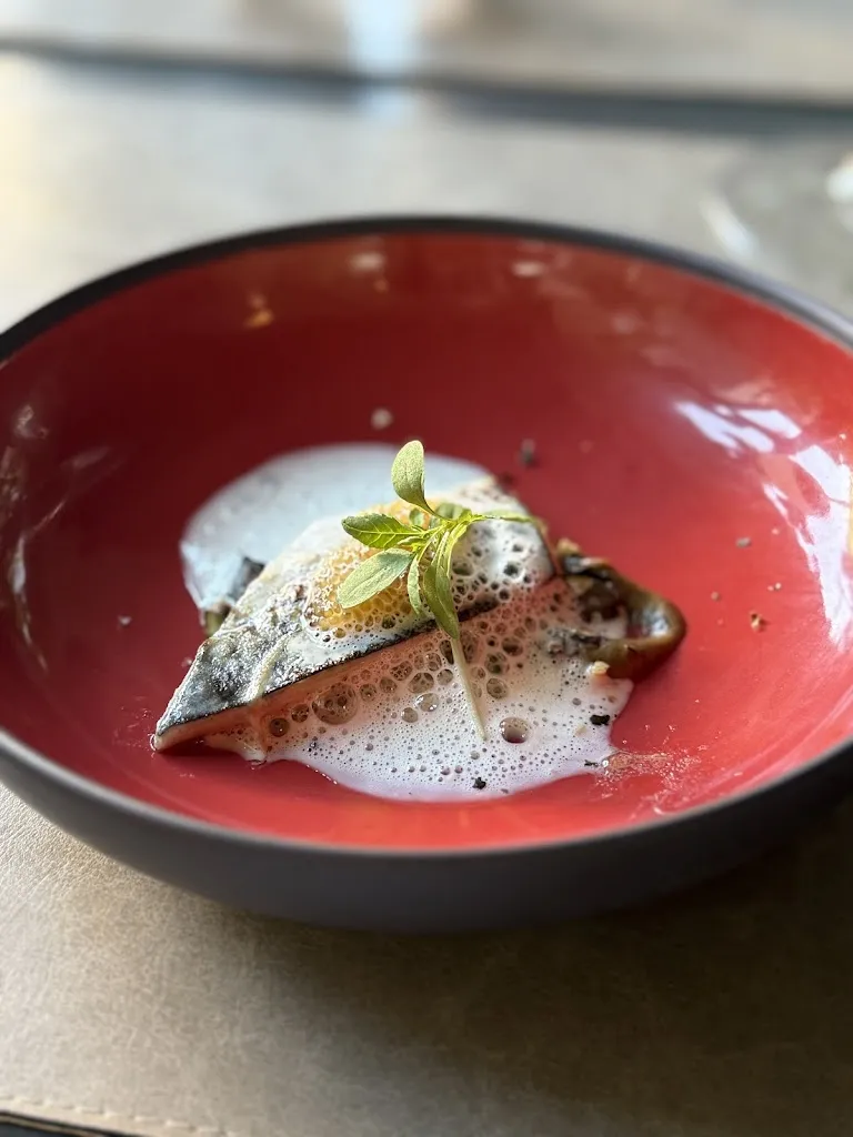 Päivi Paldanius_AinTimiste_Poncin_review