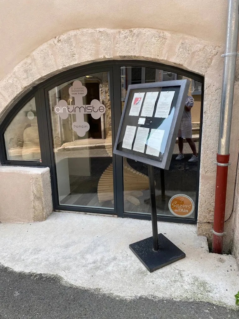 Dmitry A_AinTimiste_Poncin_review