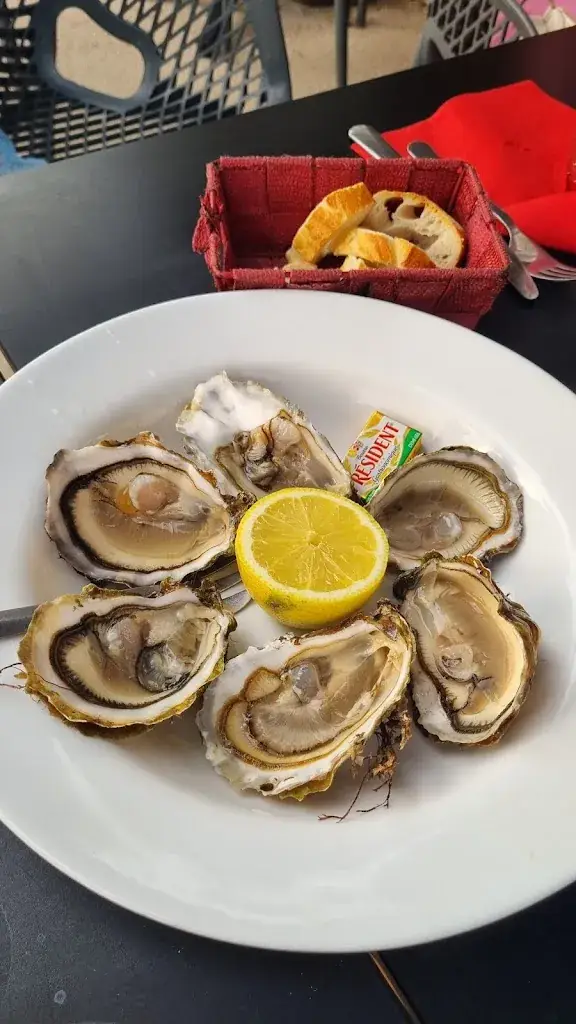 Rafal Borkowski_Le Rendez-vous_Seyne-sur-Mer_avis