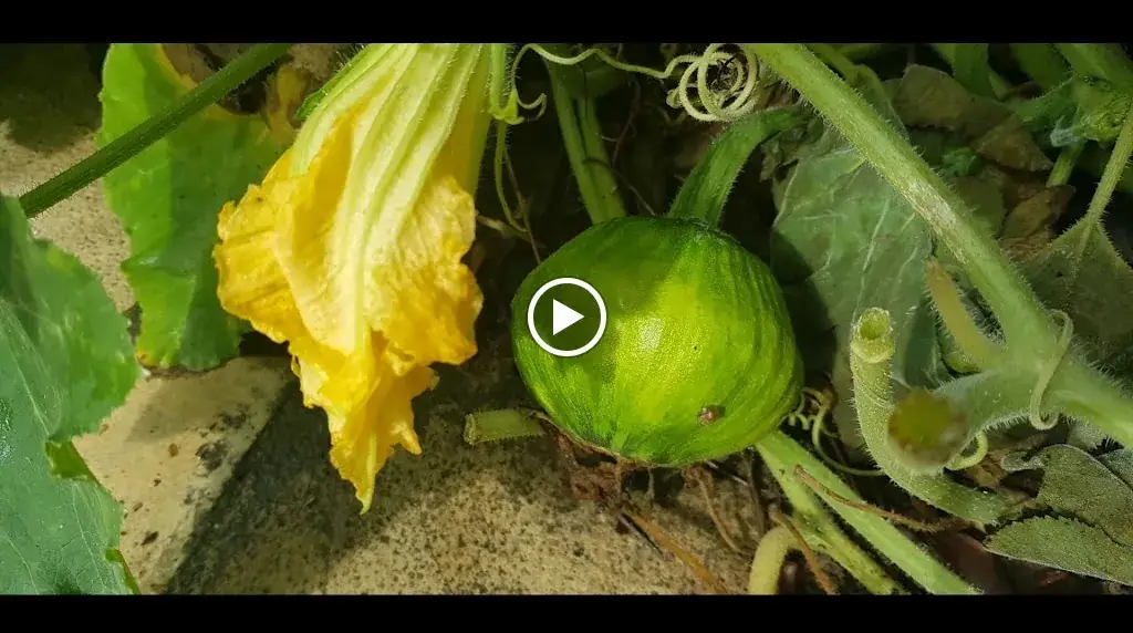 o'tour d'Angkor_Lambesc_slider_image_2