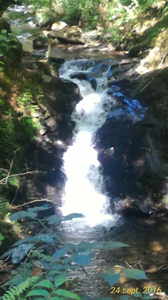 Chez Jean_Pleaux_slider_image_3