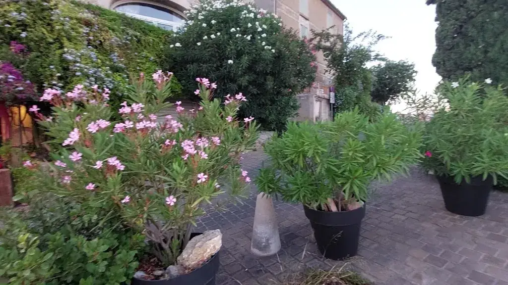 Le Pied de Nez_Castellet_slider_image_2