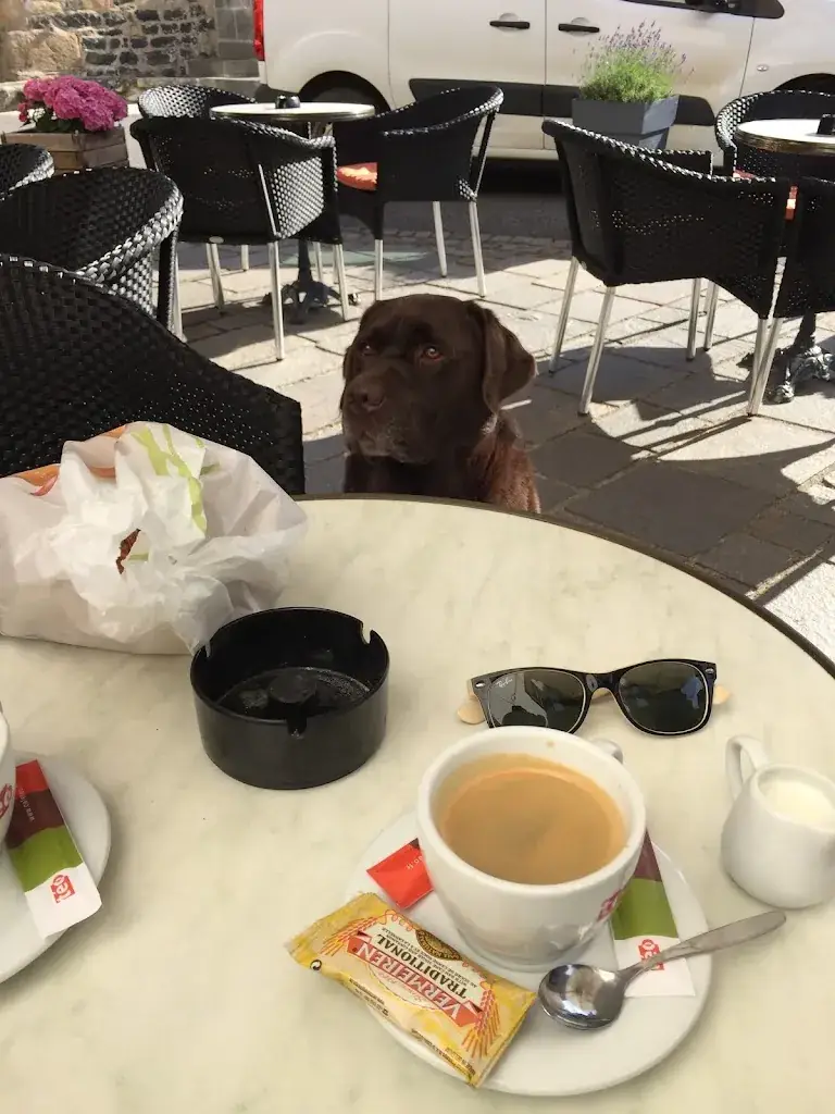 Le Provost Nadine_Pleaux_slider_image_3