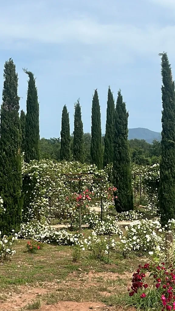 Carla R. A._Château Saint-Roux_Cannet-des-Maures_recensione