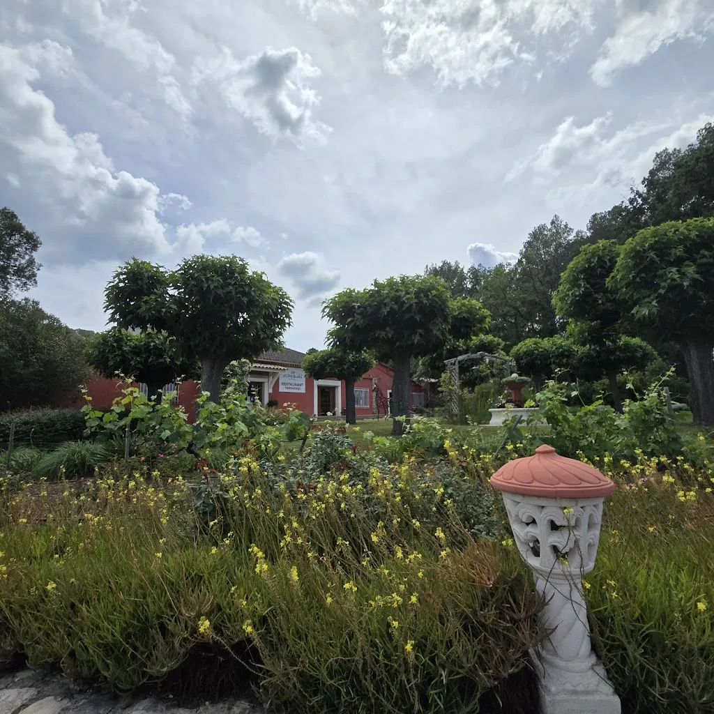 Joanne Philpott_Les Pins Blancs En Provence_Muy_review