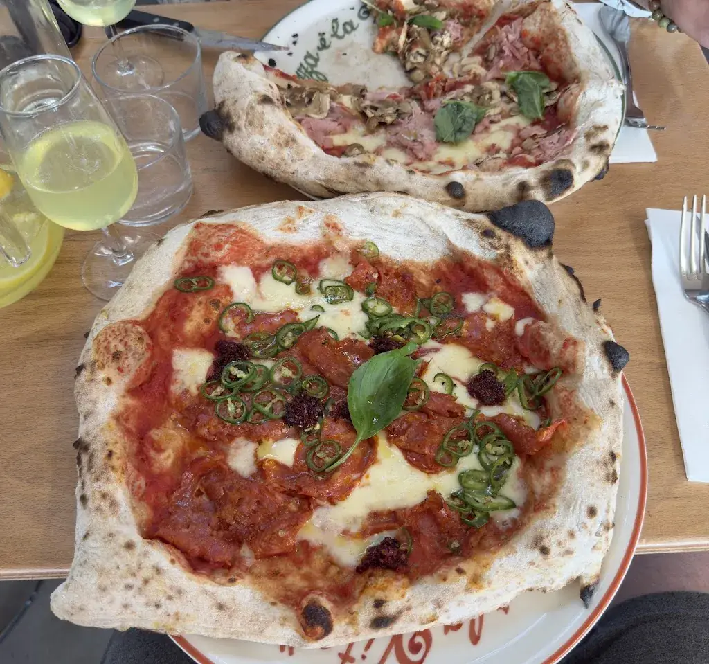 Jens Meyer_Tripletta Catalans_Marseille_review