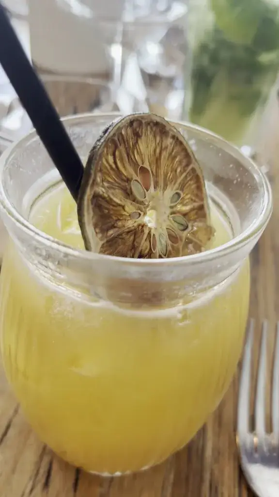 Sandra Lacoste_Bar de la Fontaine_Revest-les-Eaux_review